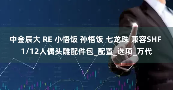中金辰大 RE 小悟饭 孙悟饭 七龙珠 兼容SHF 1/12人偶头雕配件包_配置_选项_万代