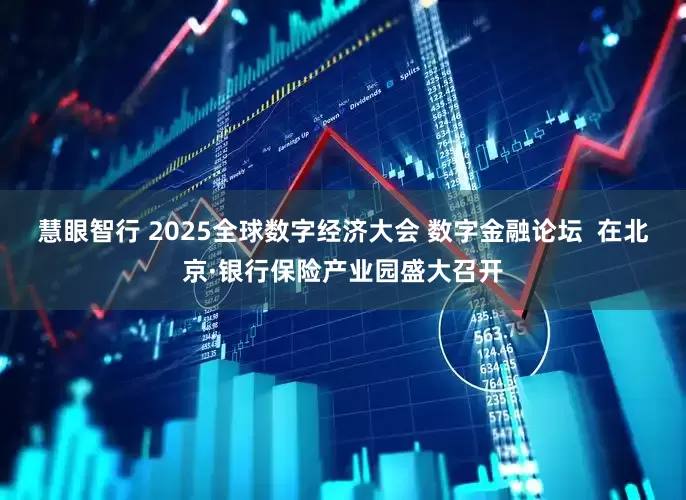 慧眼智行 2025全球数字经济大会 数字金融论坛  在北京·银行保险产业园盛大召开