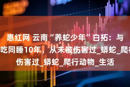 惠红网 云南“养蛇少年”白拓：与25条蛇，同吃同睡10年，从未被伤害过_蟒蛇_爬行动物_生活