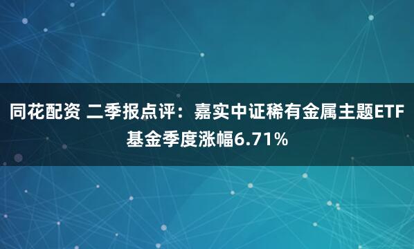同花配资 二季报点评：嘉实中证稀有金属主题ETF基金季度涨幅6.71%