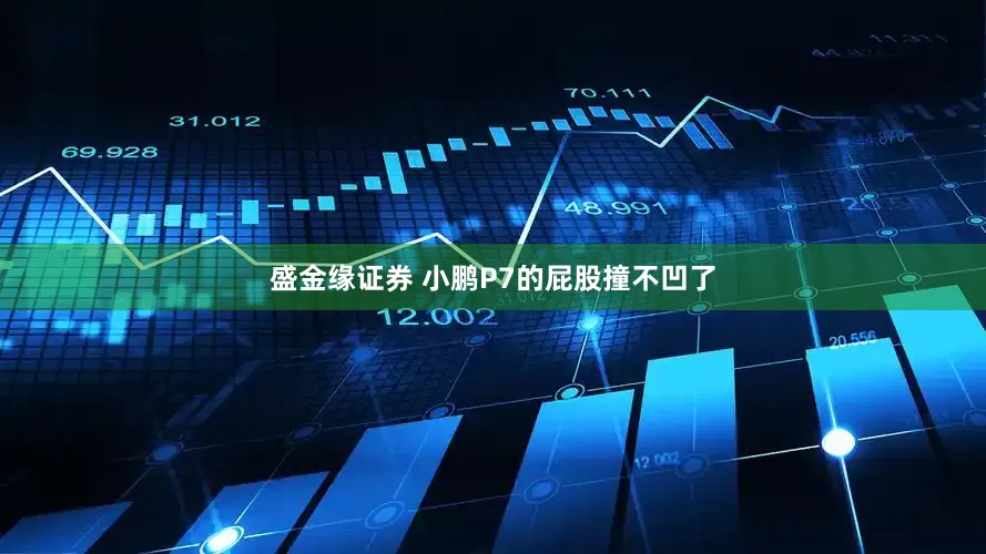 盛金缘证券 小鹏P7的屁股撞不凹了