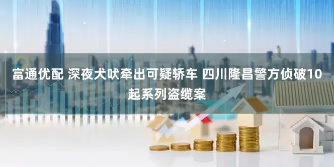 富通优配 深夜犬吠牵出可疑轿车 四川隆昌警方侦破10起系列盗缆案
