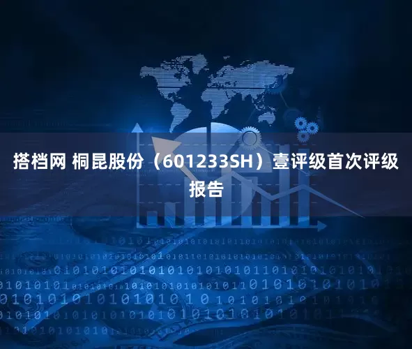 搭档网 桐昆股份（601233SH）壹评级首次评级报告