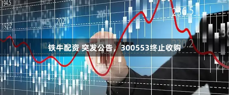 铁牛配资 突发公告，300553终止收购